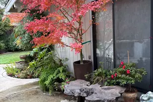 4216 Corona Way, Sacramento, CA 95864 - Photo 38