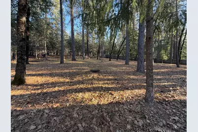 75 Sandy Gulch Lane, West Point, CA 95255 - Photo 30