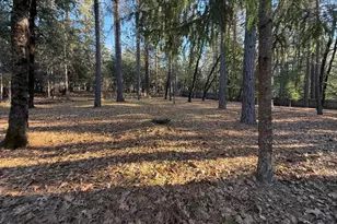 75 Sandy Gulch Ln, West Point, CA 95255 - Photo 30