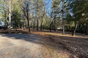 75 Sandy Gulch Ln, West Point, CA 95255 - Photo 38