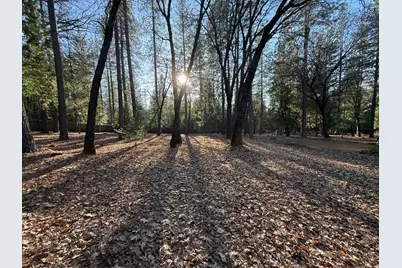 75 Sandy Gulch Lane, West Point, CA 95255 - Photo 32