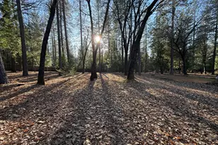 75 Sandy Gulch Ln, West Point, CA 95255 - Photo 32