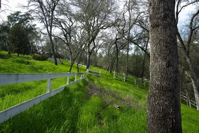 4321 Buchanan Drive, Fair Oaks, CA 95628 - Photo 6