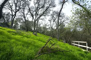 4321 Buchanan Dr, Fair Oaks, CA 95628 - Photo 8