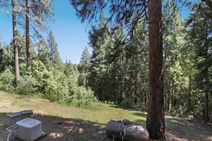 18980 Circle View Dr, Pioneer, CA 95666 - Photo 40