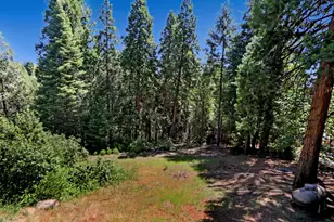 18980 Circle View Dr, Pioneer, CA 95666 - Photo 36