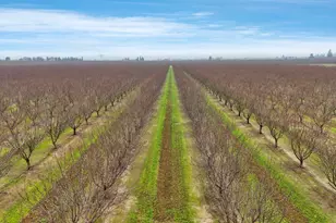 23346 S Frederick Rd, Ripon, CA 95366 - Photo 90