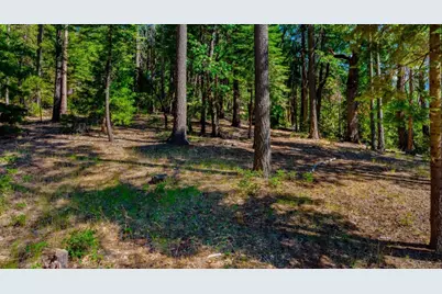 21885 Skypine Lakeview Lane, Nevada City, CA 95959 - Photo 12