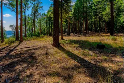 21885 Skypine Lakeview Lane, Nevada City, CA 95959 - Photo 42