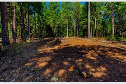 21885 Skypine Lakeview Lane, Nevada City, CA 95959 - Photo 46