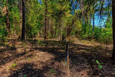 21885 Skypine Lakeview Lane, Nevada City, CA 95959 - Photo 32