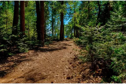 21885 Skypine Lakeview Lane, Nevada City, CA 95959 - Photo 52