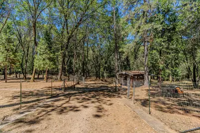 148 Sandy Gulch Lane, West Point, CA 95255 - Photo 54