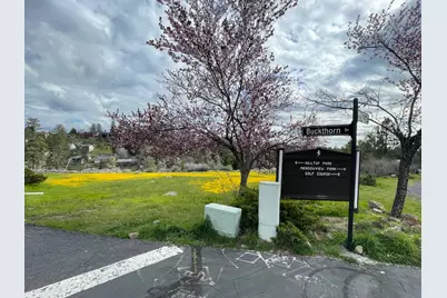 386 Buckthorn Drive, Murphys, CA 95247 - Photo 8