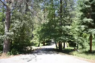 26650 Old Loggers Ln, Colfax, CA 95713 - Photo 46