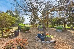 21219 Naglee Rd, Tracy, CA 95304 - Photo 64