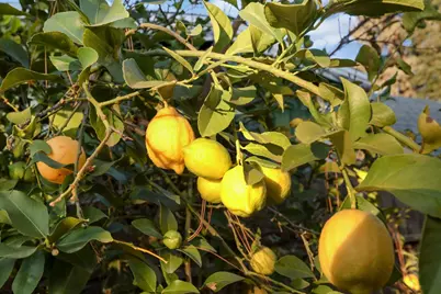 8215 Manhattan Drive, Stockton, CA 95210 - Photo 40