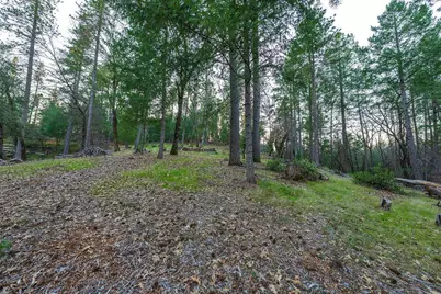 1355 E Weimar Cross Road, Colfax, CA 95713 - Photo 32