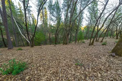 1355 E Weimar Cross Road, Colfax, CA 95713 - Photo 30