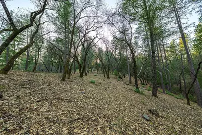 1355 E Weimar Cross Road, Colfax, CA 95713 - Photo 14