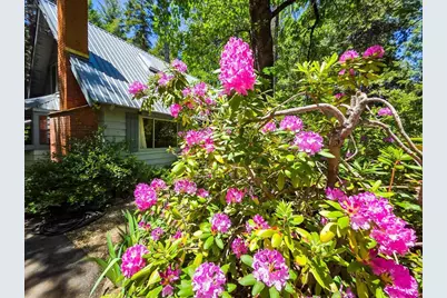 11306 Winding Way, Clipper Mills, CA 95930 - Photo 30