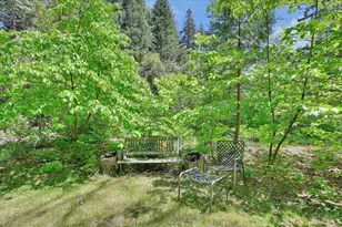 11306 Winding Way, Clipper Mills, CA 95930 - Photo 60