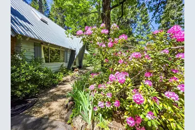 11306 Winding Way, Clipper Mills, CA 95930 - Photo 36