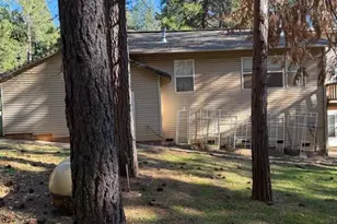 27076 Silver Dr, Pioneer, CA 95666 - Photo 10