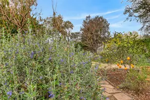 5537 Marden St, Davis, CA 95618 - Photo 38