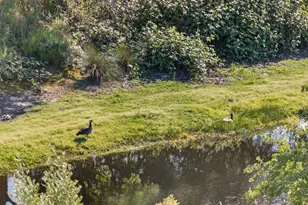 5204 Crown Bench Cir, Elk Grove, CA 95757 - Photo 64