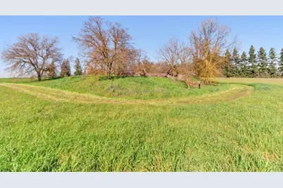 12412 Plum Lane, Wilton, CA 95693 - Photo 38