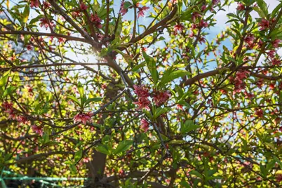 334 Alturas Avenue, Stockton, CA 95207 - Photo 32