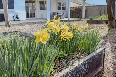 510 Diamond Glen Circle, Folsom, CA 95630 - Photo 42