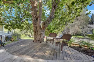 203 Prospect St, Nevada City, CA 95959 - Photo 78