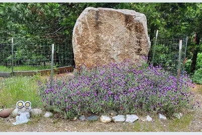 14522 Deerhaven Lane, Nevada City, CA 95959 - Photo 44