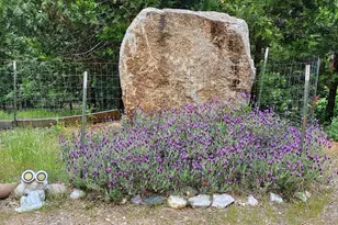 14522 Deerhaven Ln, Nevada City, CA 95959 - Photo 44