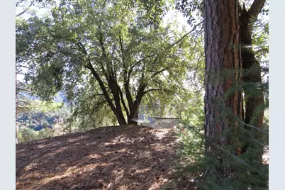 0 N. Canyon Way / Iowa Hill Rd, Colfax, CA 95713 - Photo 20