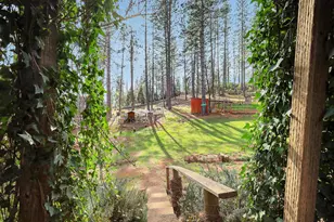 14872 Vavassuer, Brownsville, CA 95919 - Photo 10