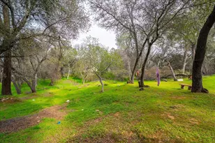 3695 Missouri Flat Rd, Placerville, CA 95667 - Photo 48