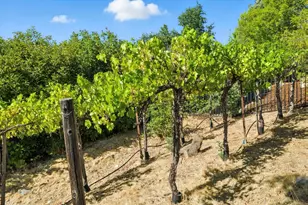 5132 Thalia Dr, El Dorado Hills, CA 95762 - Photo 68