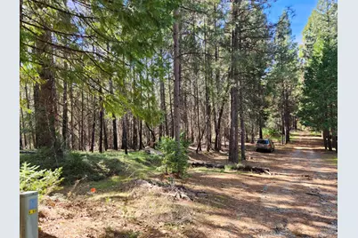 5303 Old Mine Road, Grizzly Flats, CA 95636 - Photo 1