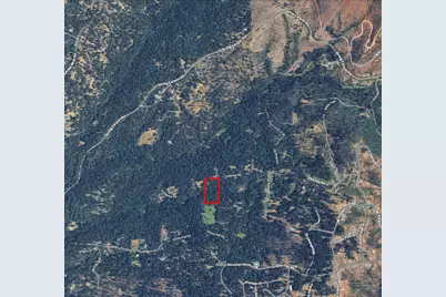 5303 Old Mine Road, Grizzly Flats, CA 95636 - Photo 4