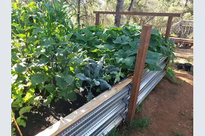 1700 Shadydale Lane, Placerville, CA 95667 - Photo 54