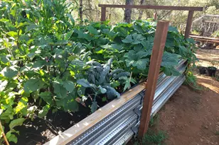 1700 Shadydale Ln, Placerville, CA 95667 - Photo 54