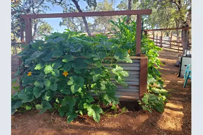 1700 Shadydale Lane, Placerville, CA 95667 - Photo 52