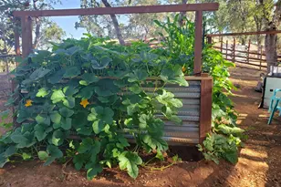 1700 Shadydale Ln, Placerville, CA 95667 - Photo 52