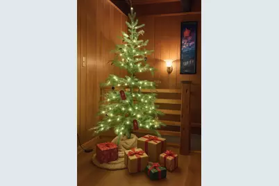 1883 Kit Carson Circle, Arnold, CA 95223 - Photo 46