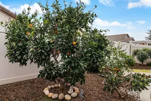 2720 Maple Grove Ave, Manteca, CA 95336 - Photo 38