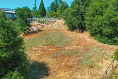 279 Wyldewood Drive, Murphys, CA 95247 - Photo 14