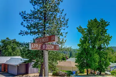 279 Wyldewood Drive, Murphys, CA 95247 - Photo 10